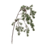 Deres felületű, mű vörösfenyő ág.