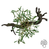 Zöld mű fagyöngy bokor Real Touch hatással, 40 cm hosszú és 35 cm átmérőjű karácsonyi dekoráció.