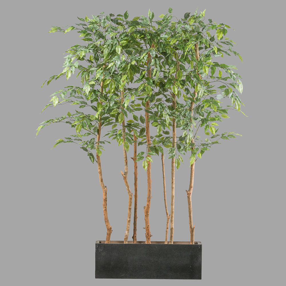 Mű fikusz térelválasztó 160 cm zöld "Ficus"
