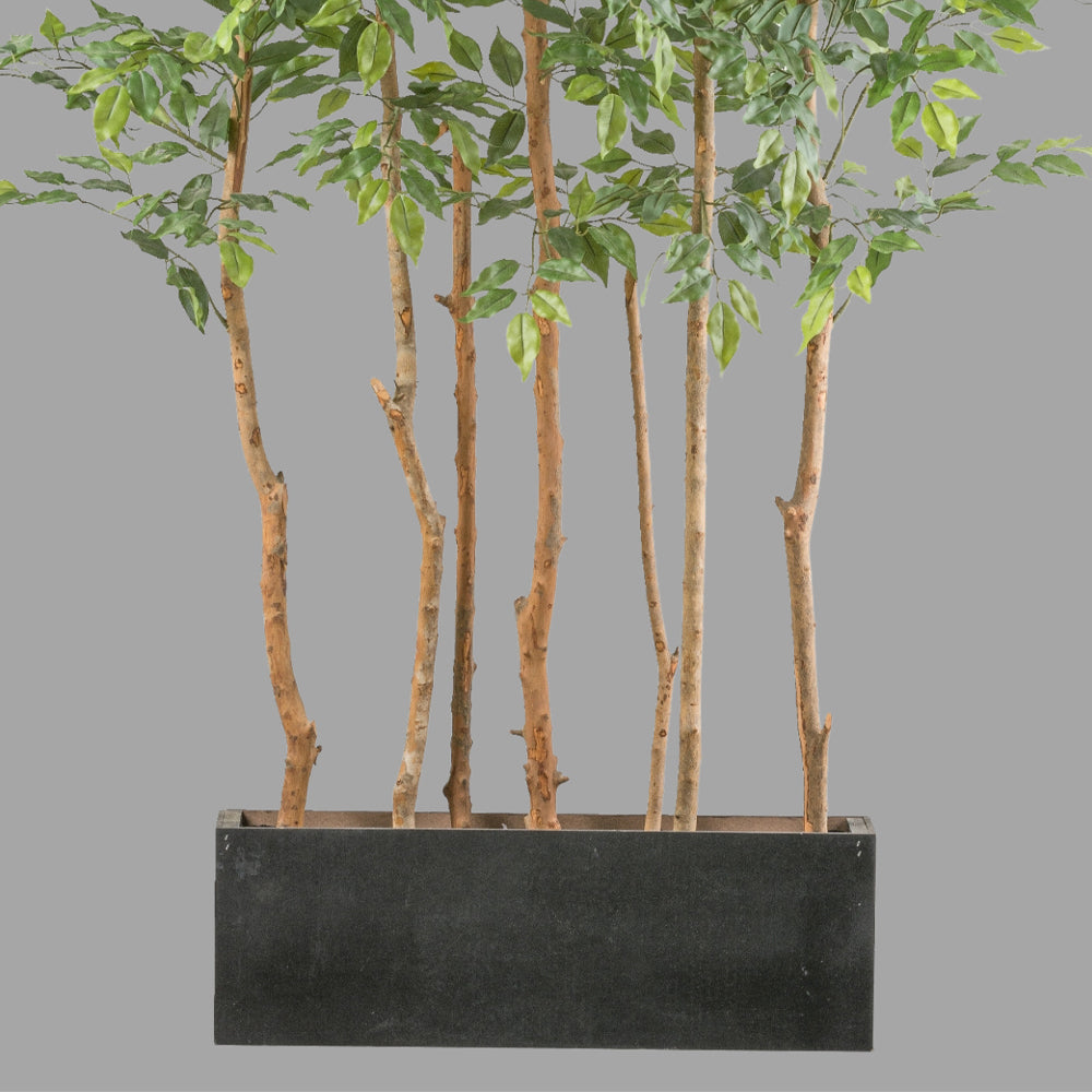 Mű fikusz térelválasztó 160 cm zöld "Ficus"