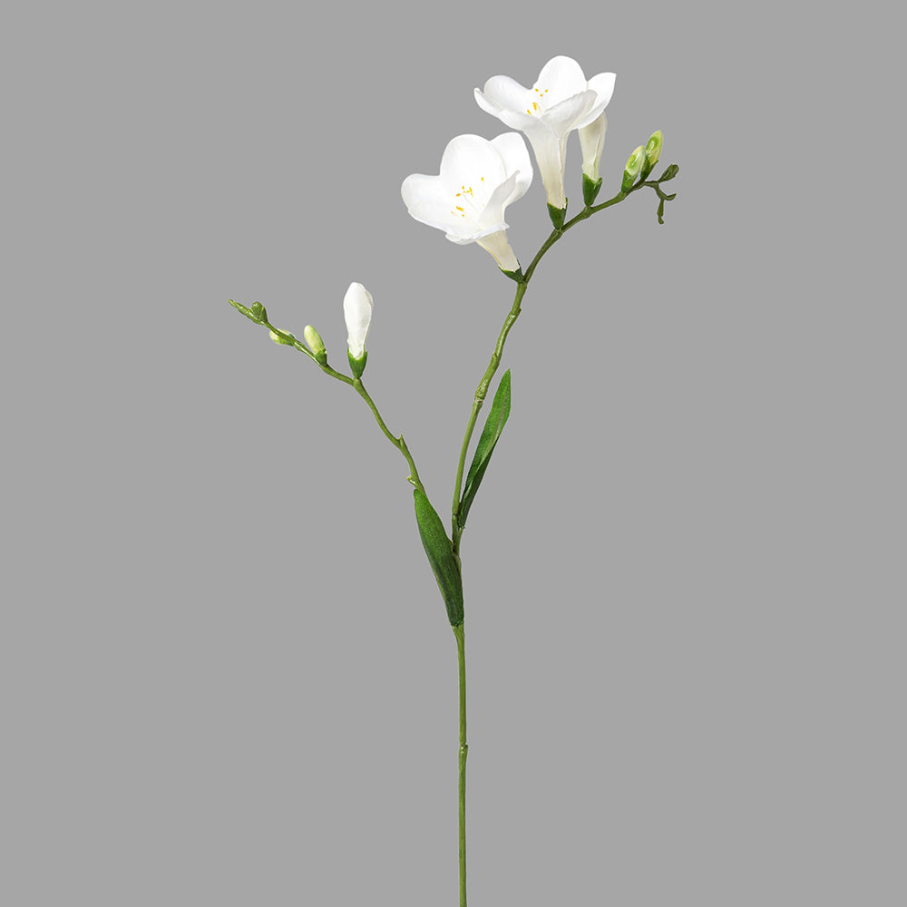 Fehér színű, 2 ágú frézia művirág.