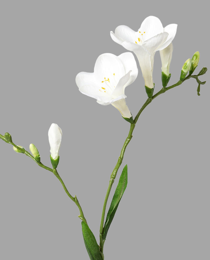 Fehér színű, 2 ágú frézia művirág.