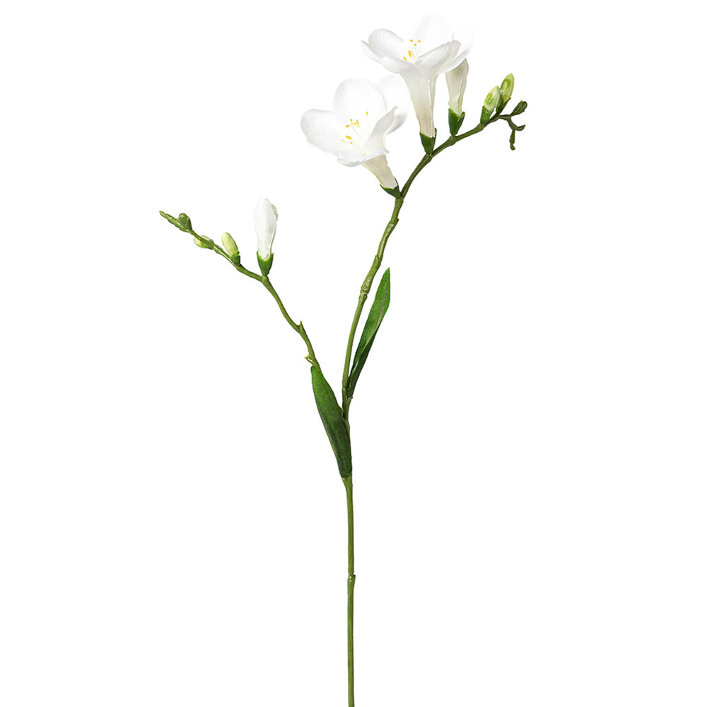 Fehér színű, 2 ágú frézia művirág.