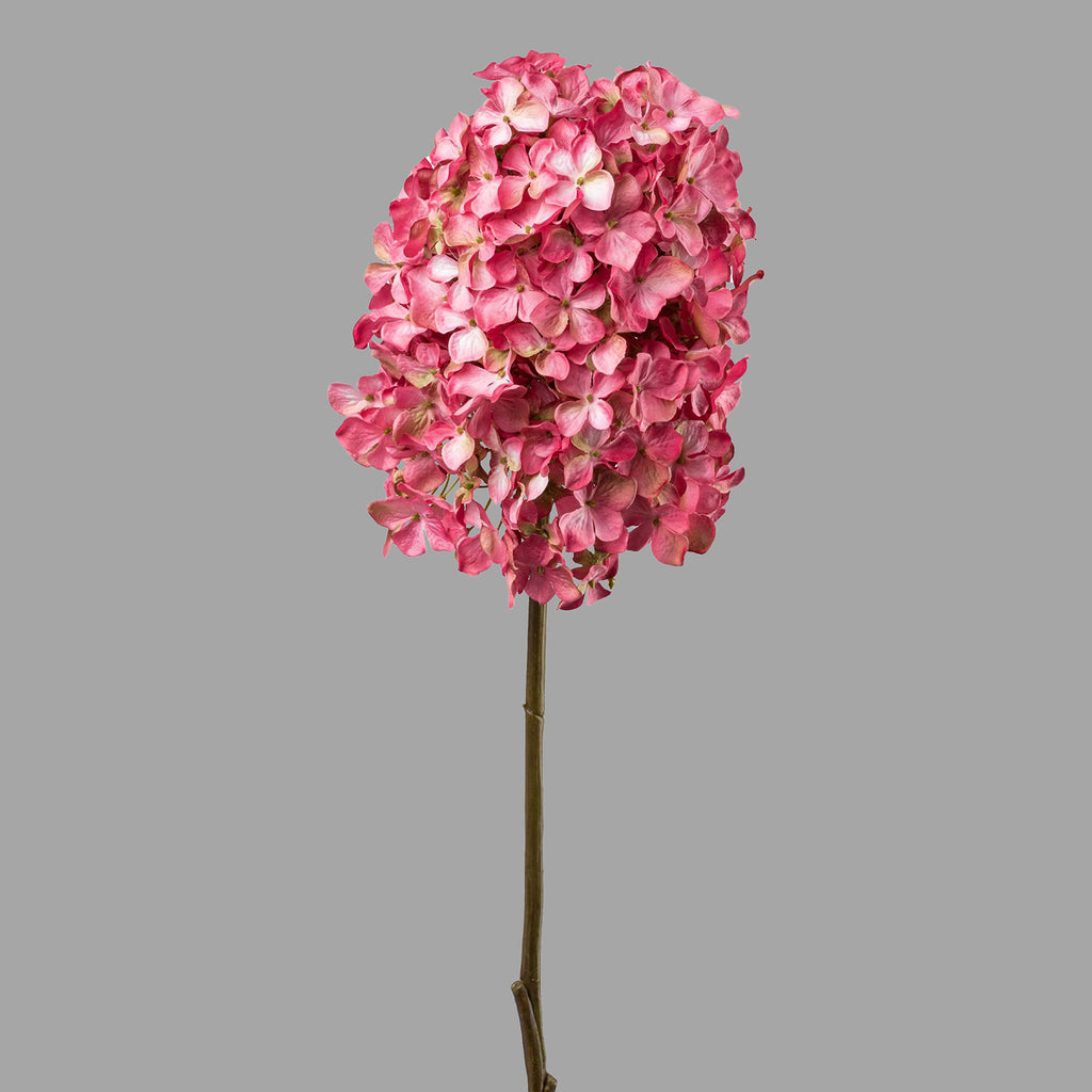 Pink színárnyalatú hortenzia művirág.