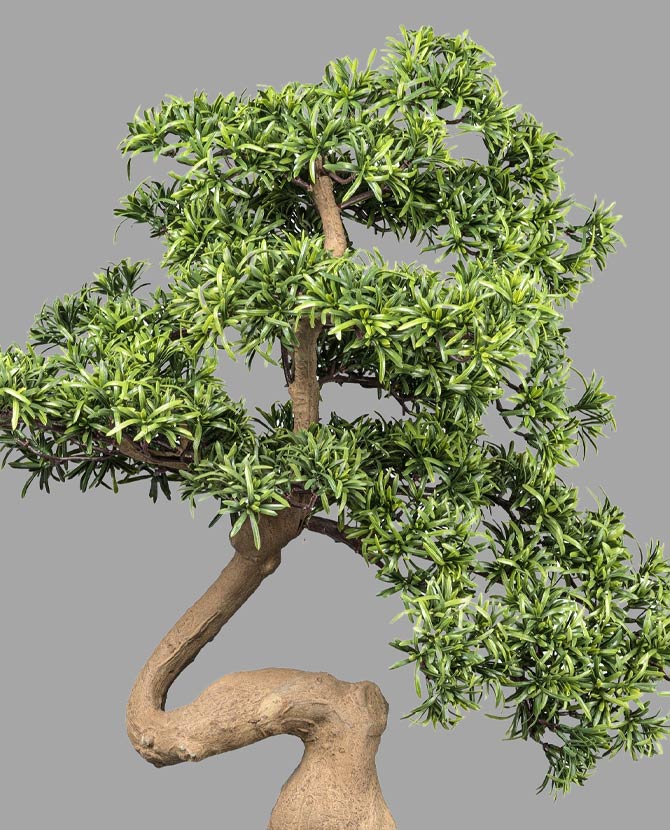 Kőfenyő bonsai fa műnövény, fekete ültetőkaspóban.