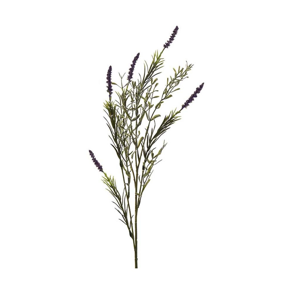 Liláskék színű, mezei levendula művirág.