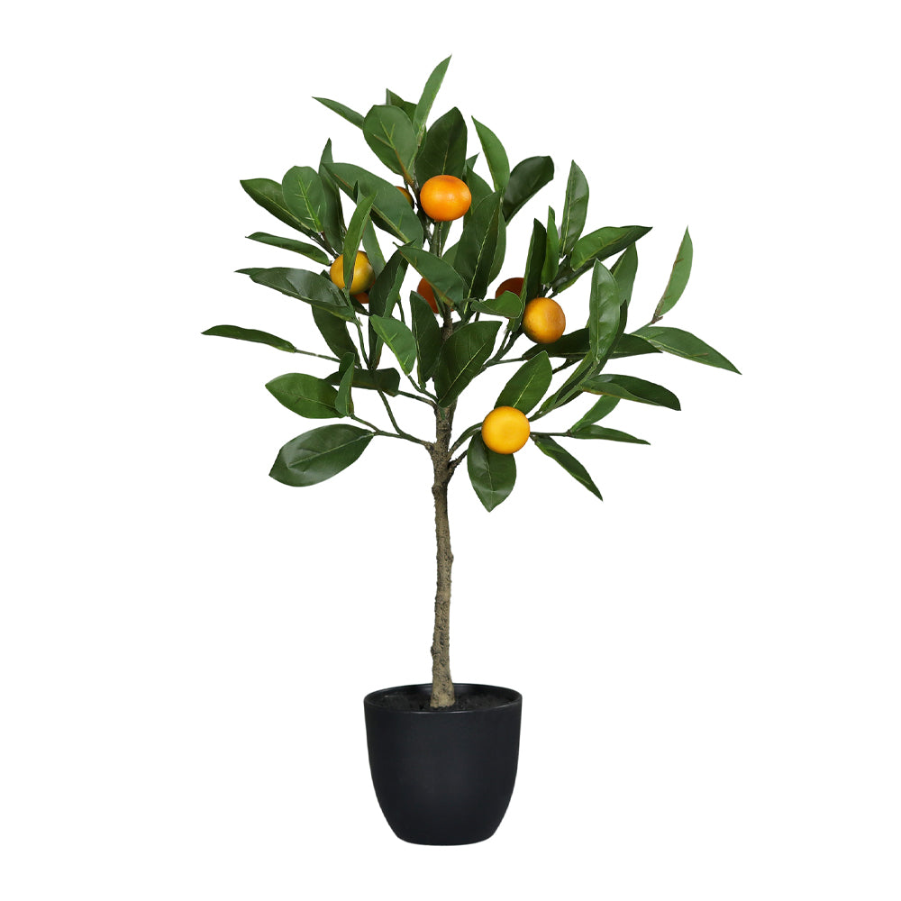 Fekete műanyag kaspóba helyezett, mandarinfa műnövény.