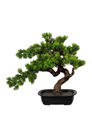 Mirtusz bonsai fa műnövény, fekete ültetőkaspóban.