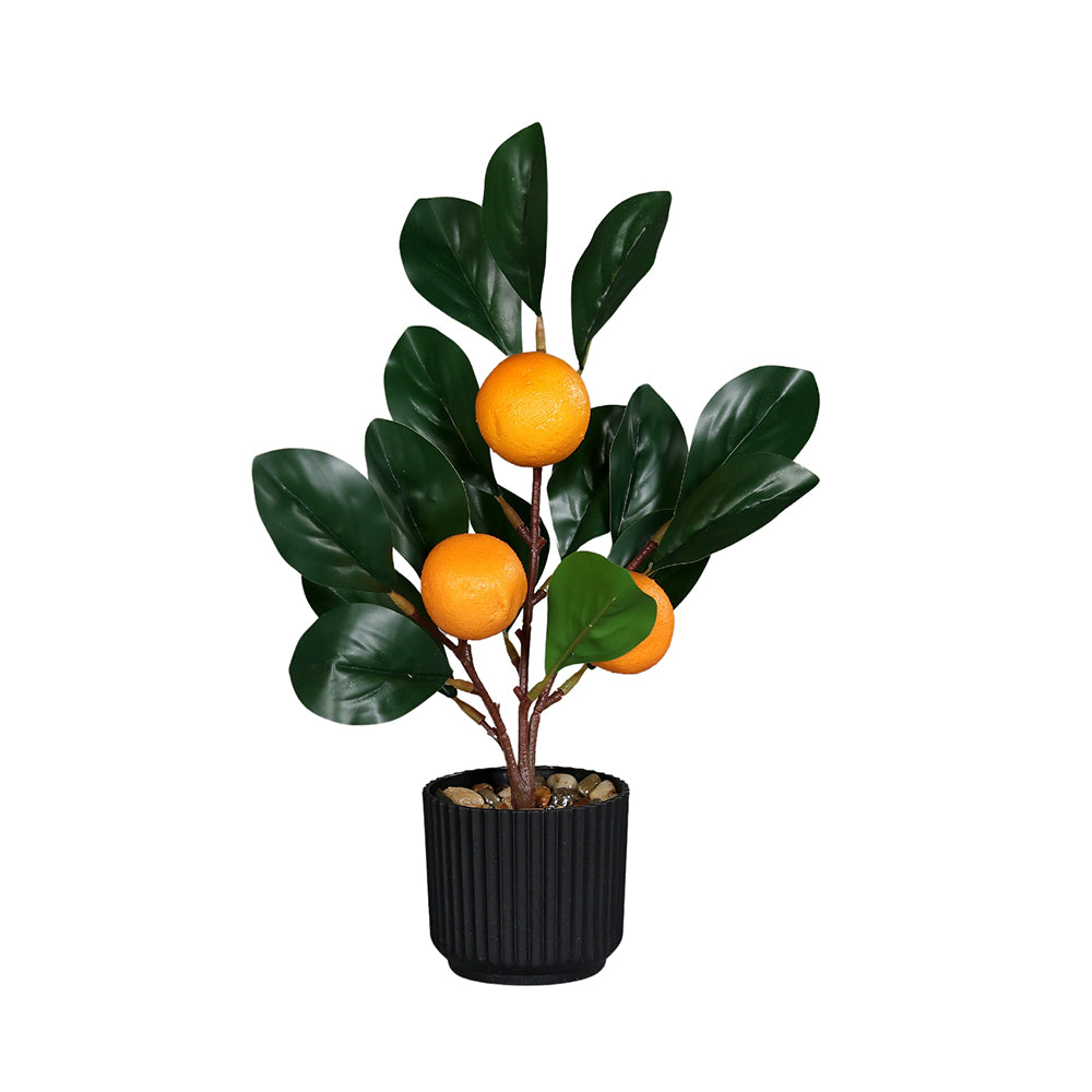 Fekete műanyag kaspóba helyezett, narancsfa műnövény.