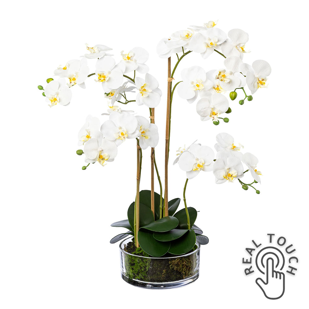 Fehér színű mű orchidea, áttetsző üveg tégelyben.