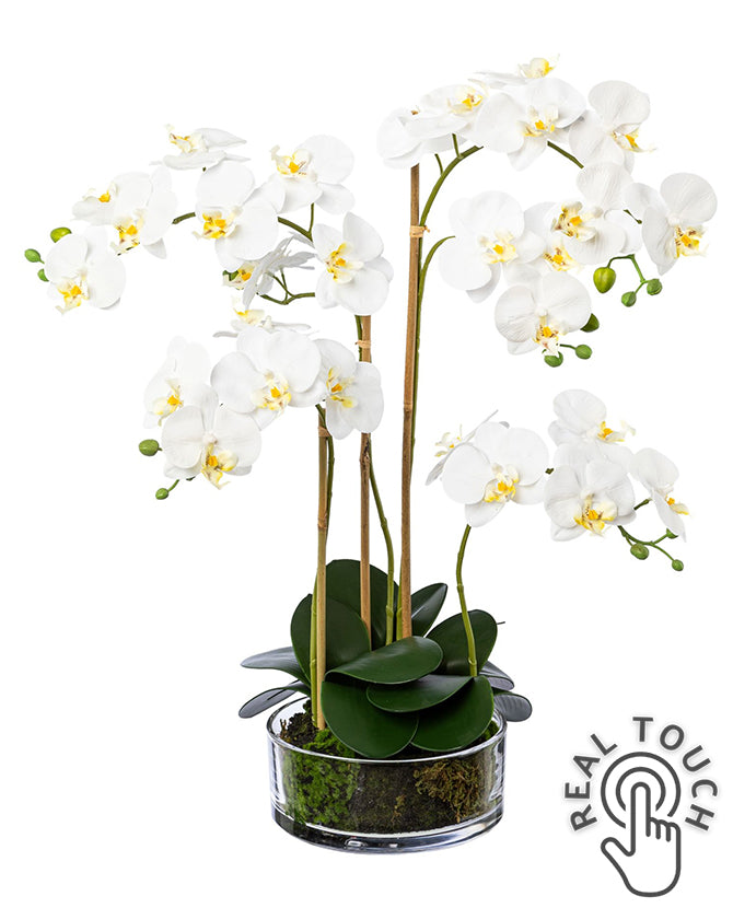 Fehér színű mű orchidea, áttetsző üveg tégelyben.