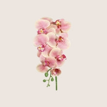 Mű Orchidea