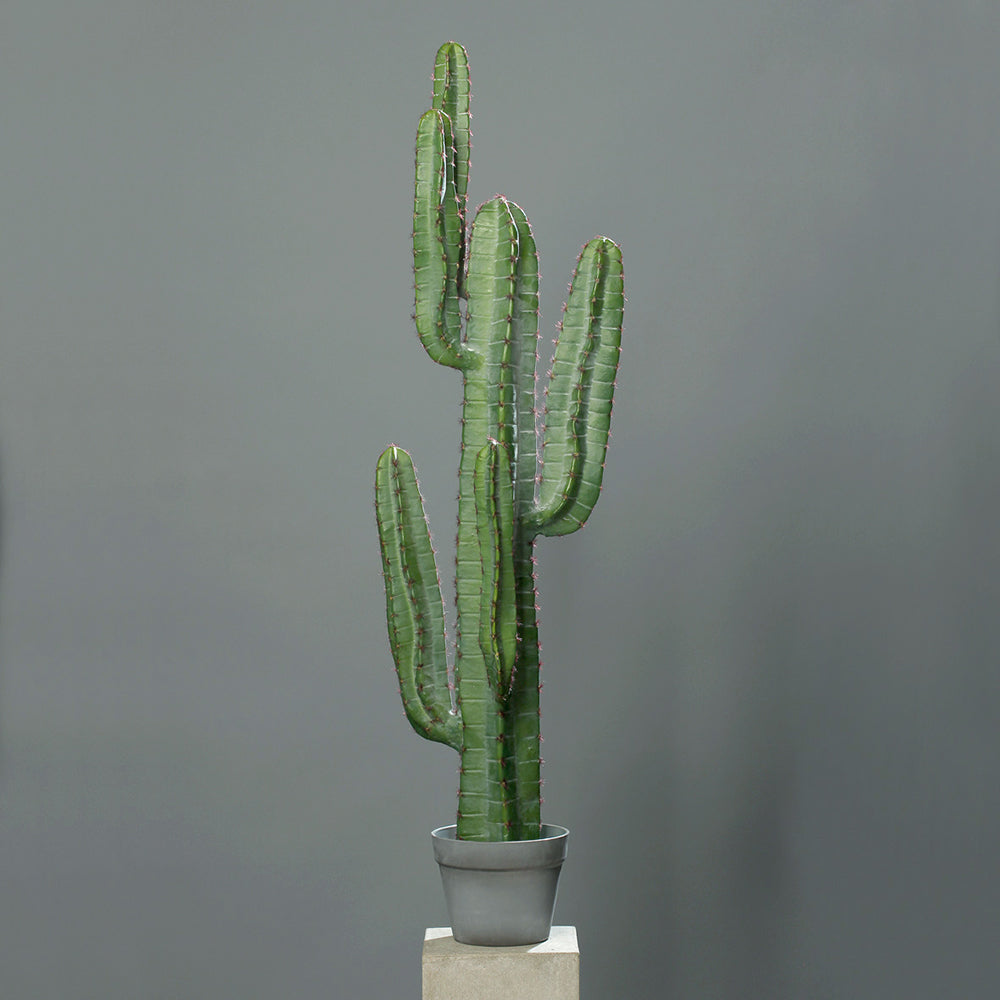 Zöld színű, mesterséges San Pedro kaktusz.
