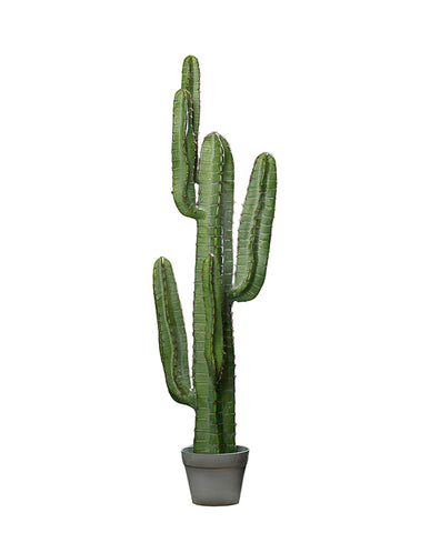 Zöld színű, mesterséges San Pedro kaktusz.