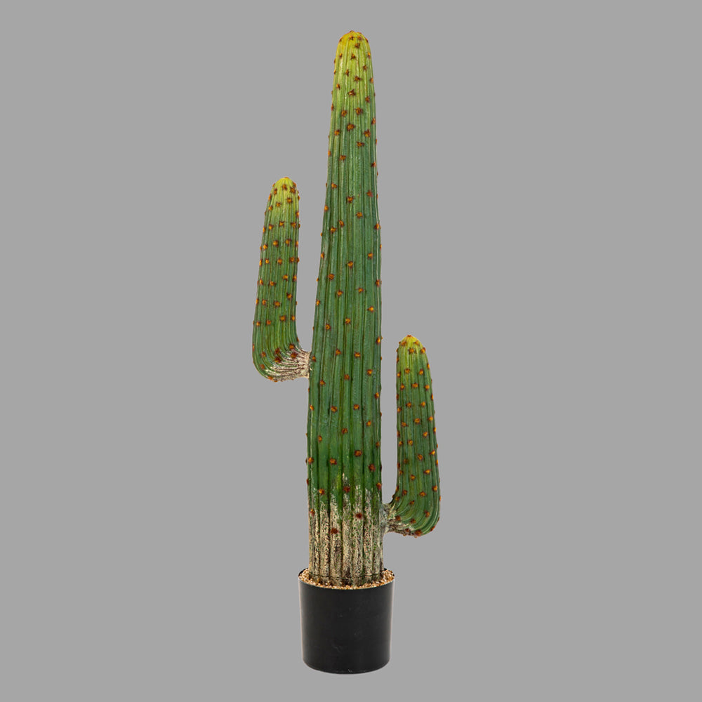 Zöld színű, mesterséges Mexikói kaktusz.
