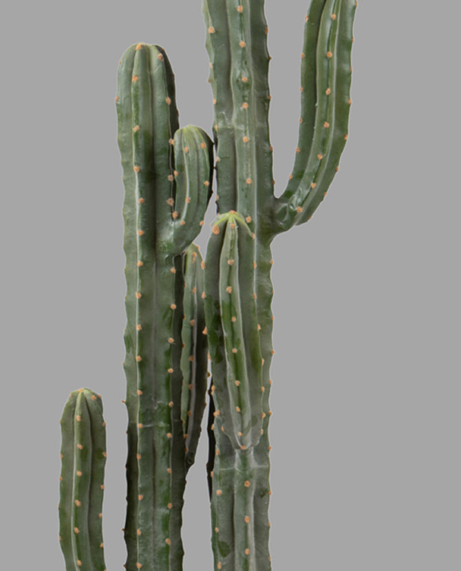 Zöld színű, mesterséges San Pedro kaktusz, fekete műanyag cserépben.