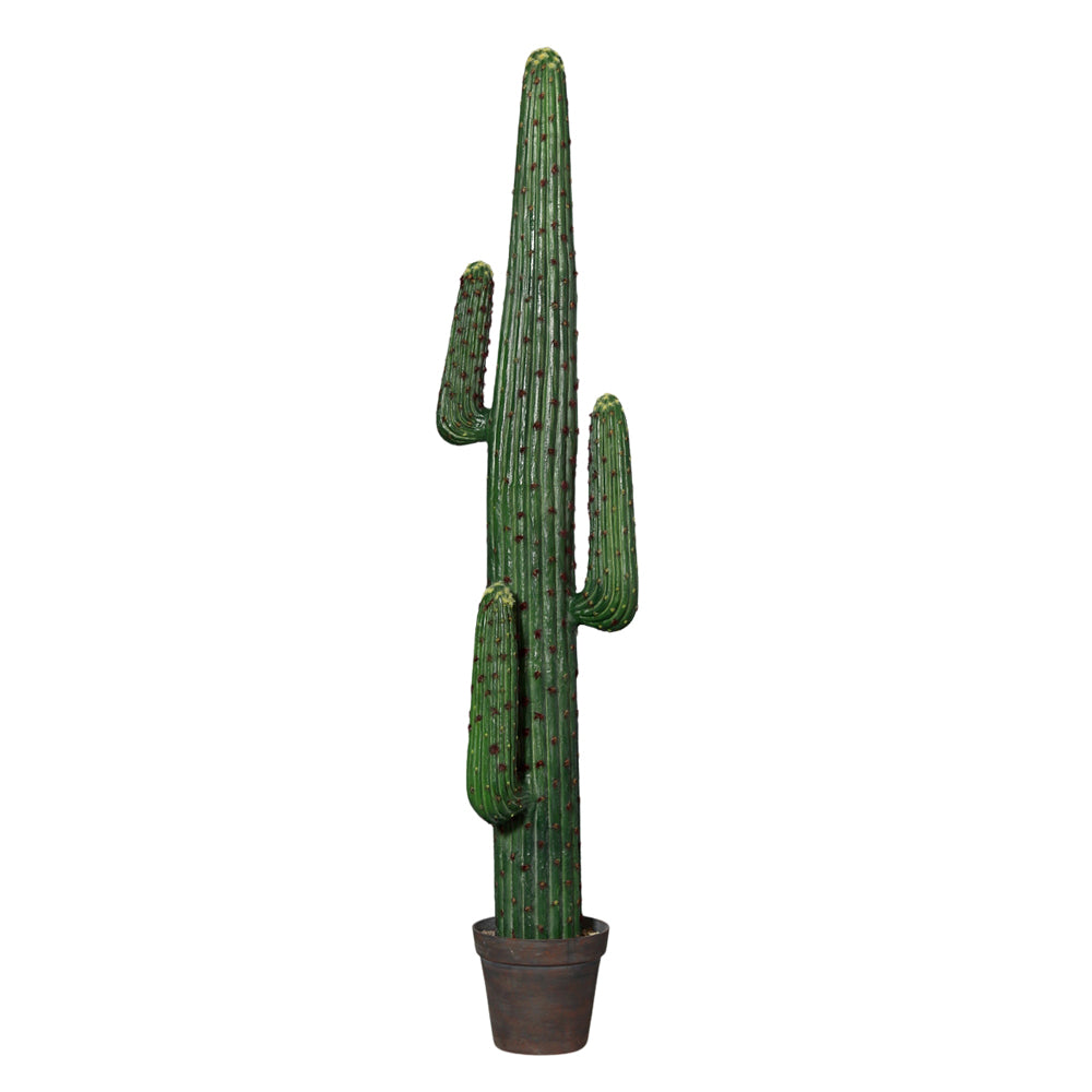 Zöld színű, mesterséges Mexikói kaktusz, fekete, műanyag cserépben.