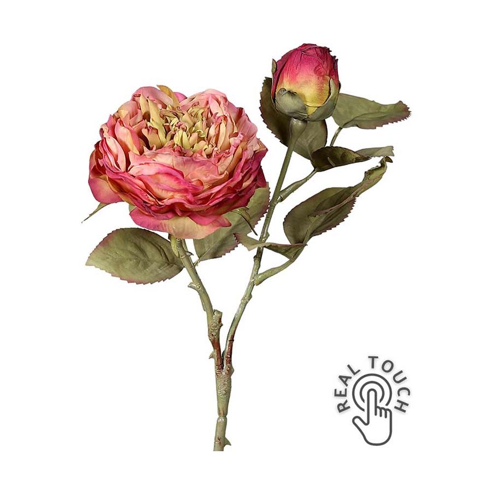 Szárított megjelenésű,, fáradt pink színű mű rózsaszál.