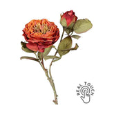 Szárított megjelenésű,, fáradt narancs színű mű rózsaszál .