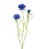 Kék színű mű búzavirág.