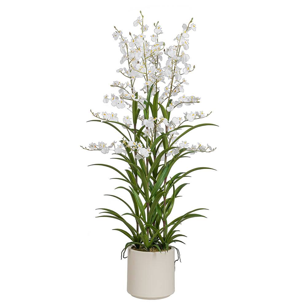 ONCIDIUM fehér mű orchidea 129 cm magas kaspóban, teljes látvány