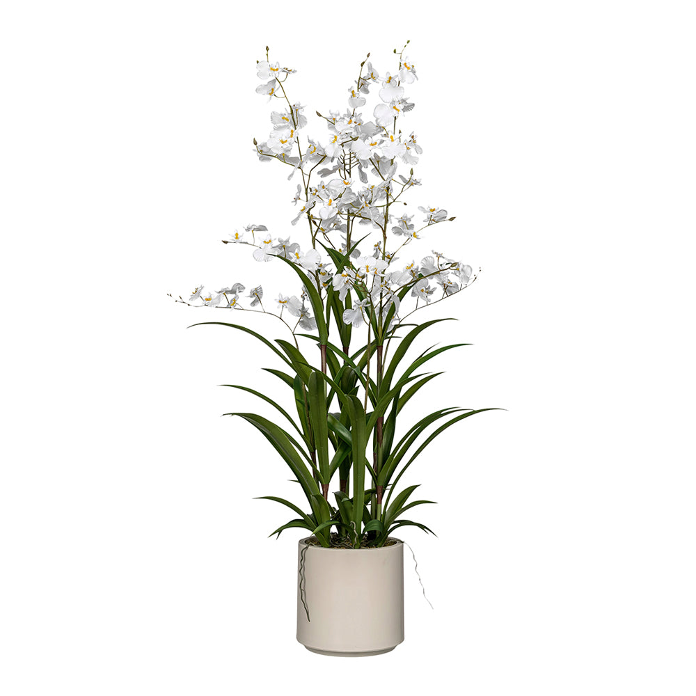 ONCIDIUM fehér mű orchidea 98 cm magas kaspóban, teljes látvány