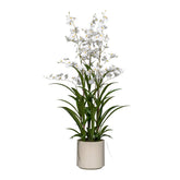 ONCIDIUM fehér mű orchidea 98 cm magas kaspóban, teljes látvány