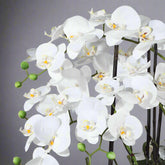 Élethű fehér orchidea bimbókkal és nyílt virágokkal, elegáns kerámia tálban