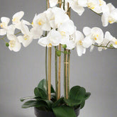 Real Touch hatású mű orchidea alsó része, vastag zöld levelekkel és bambusz szárakkal fekete cserépben.