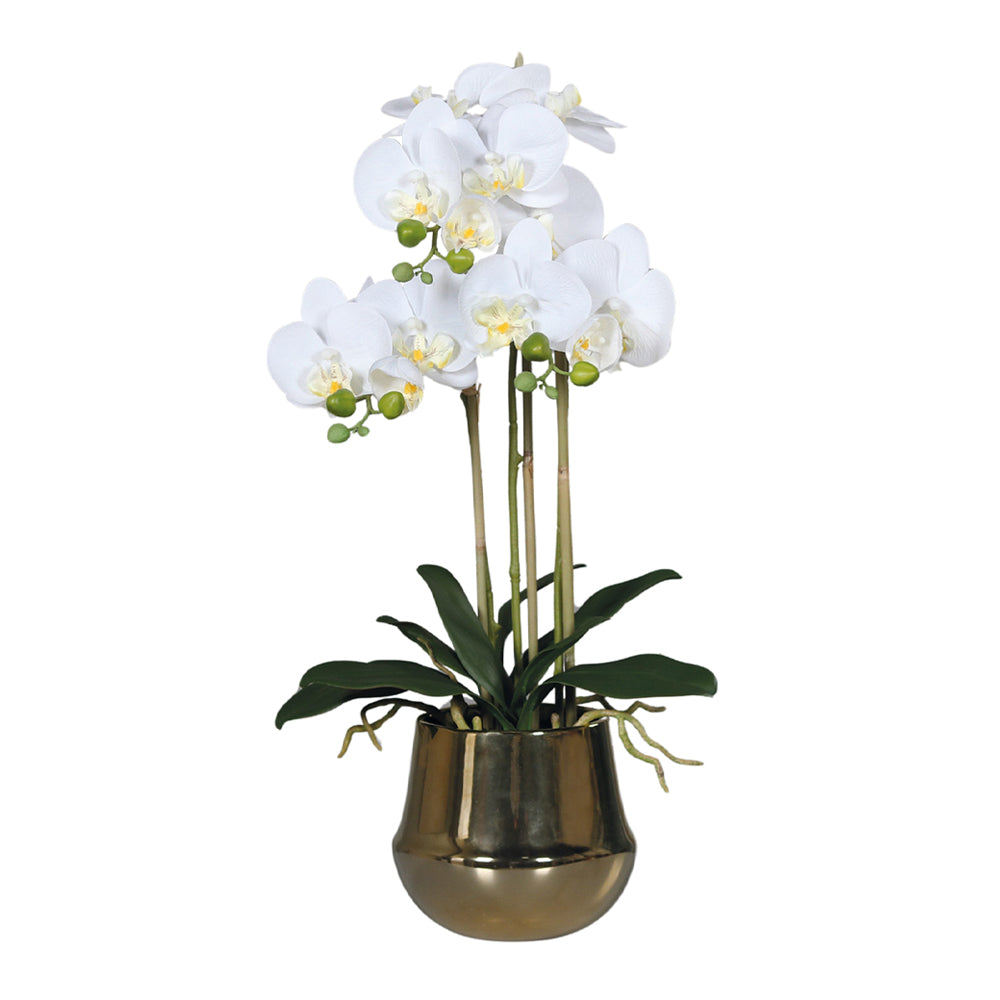 Fehér mű orchidea aranyszínű kerámia kaspóban, 64 cm magas dekoráció