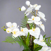 Részletfotó a Real Touch fehér orchidea virágairól és zöld leveleiről.