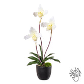 45 cm magas fehér mű papucsorchidea Real Touch virágokkal fekete kaspóban.