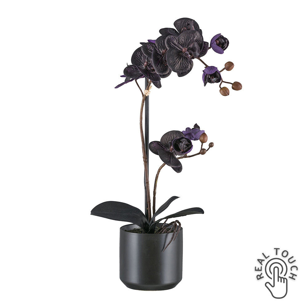 Fekete mű orchidea Real Touch hatással fekete kerámia kaspóban