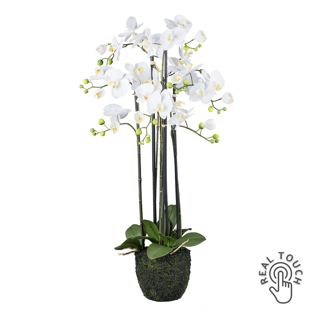 93 cm magas fehér mű orchidea földlabdában, Real Touch virágokkal.