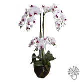 ORCHID lilásfehér földlabdás mű orchidea 104 cm magas, élethű virágzó ágakkal.