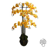 Real Touch sárga mű orchidea 150 cm magas, földlabdás talapzaton