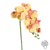 Narancssárga mű orchidea szál, Real Touch hatással, 96 cm magas.