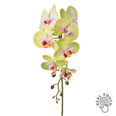 Zöldes pink mű orchidea szál, Real Touch hatással, 86 cm magas.