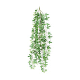 Zöld színű borostyán csüngő műnövény.