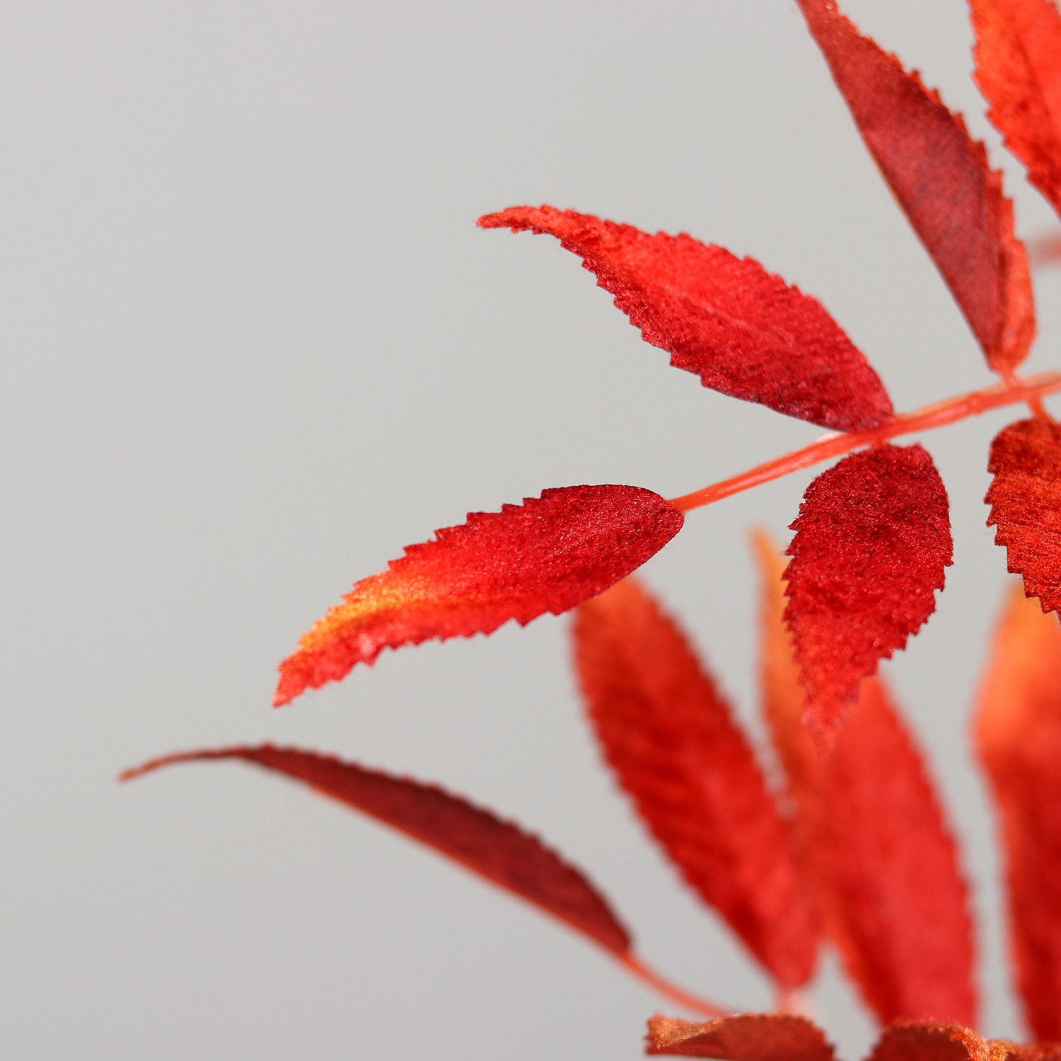 Piros színű mű őszi bogyós lombhullató ág-