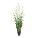 PAMPAS krém mű pampafű bokor 210 cm fekete cserépben