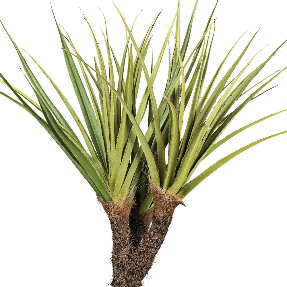 Pandanus tectorius mű csavarpálma leveleinek és részletgazdag törzsének közeli fotója. Pandanus tectorius mű csavarpálma leveleinek és részletgazdag törzsének közeli fotója.