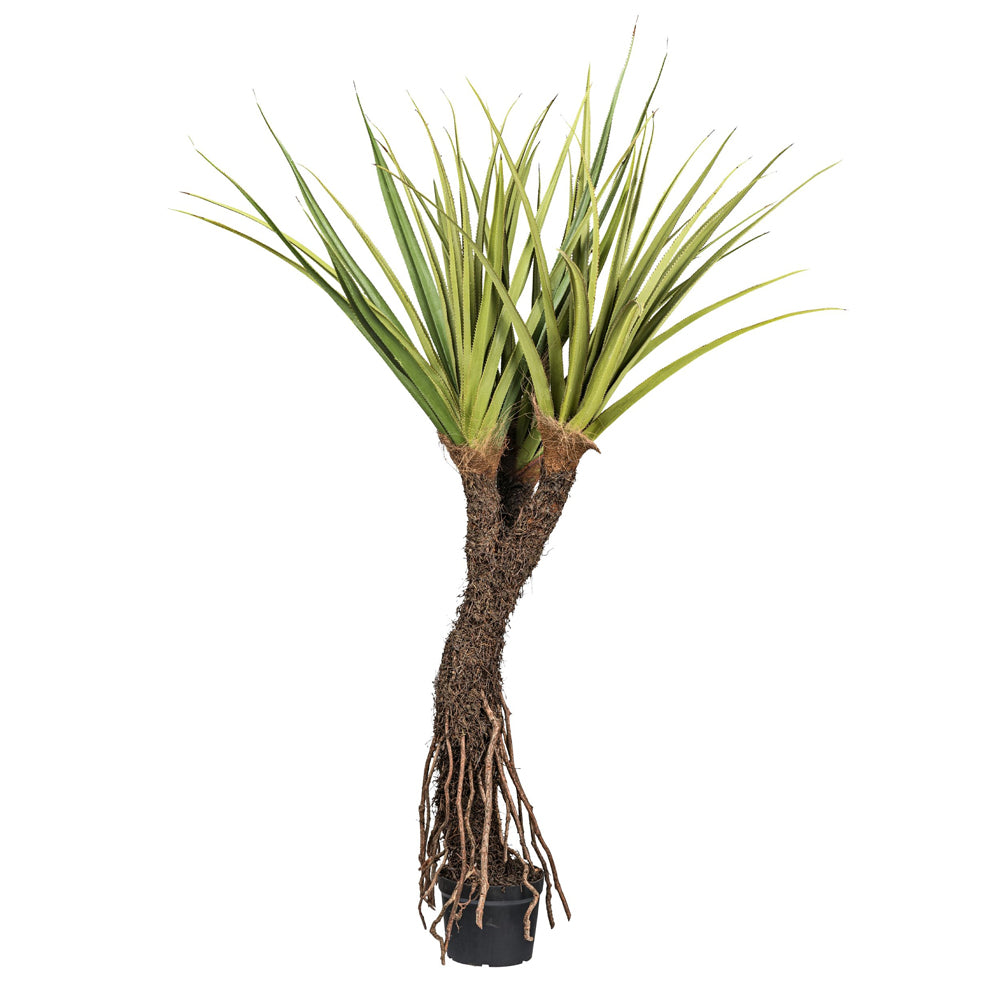 Pandanus tectorius mű illatos csavarpálma 210 cm fekete kaspóban, élethű levelekkel és léggyökerekkel. Pandanus tectorius mű illatos csavarpálma 210 cm fekete kaspóban, élethű levelekkel és léggyökerekkel.