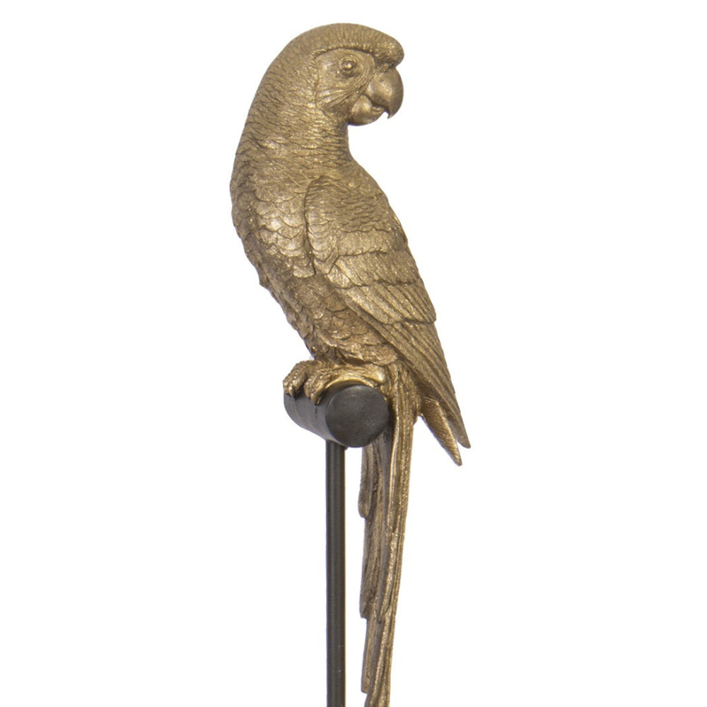 Matt aranyszínű, dekoratív papagáj figura.