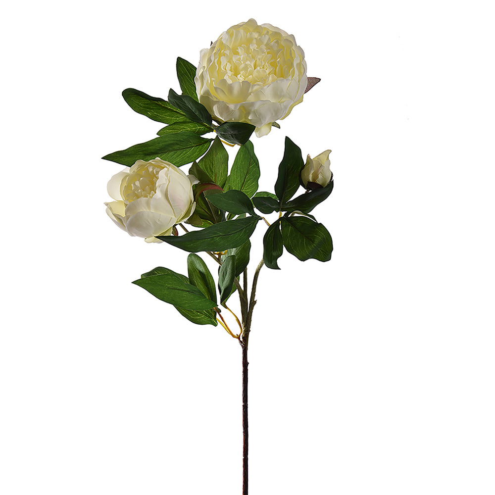 Krémszínű, mű bazsarózsa ág. Krémszínű, mű bazsarózsa ág.