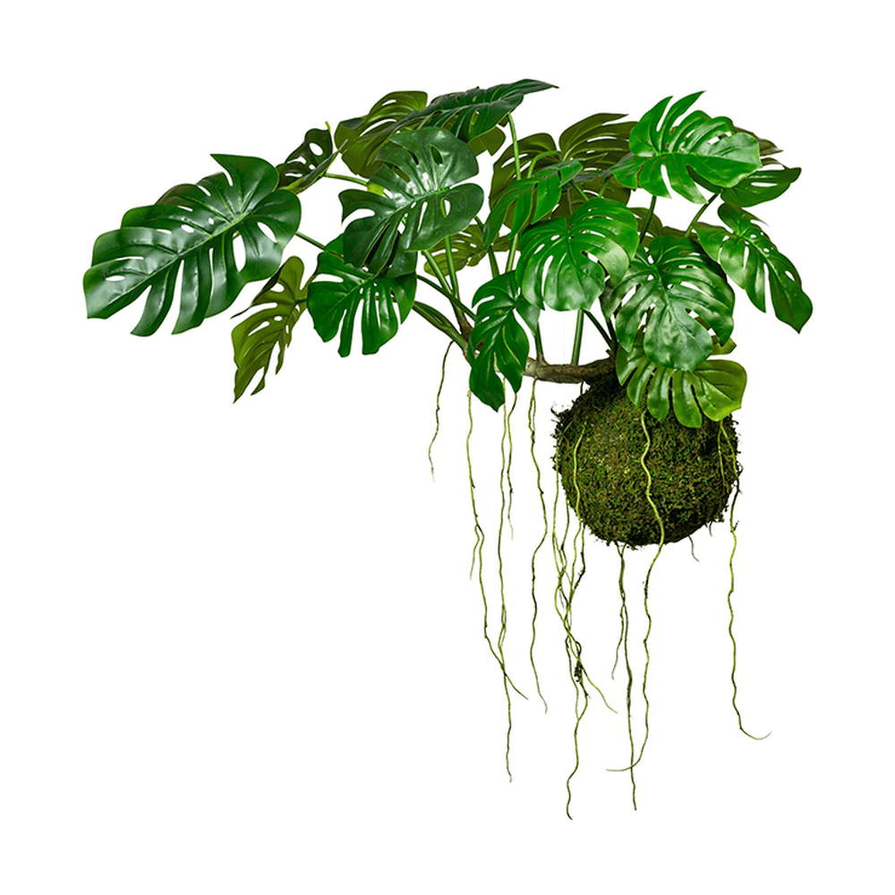 Függeszthető mű filodendron kompozíció.