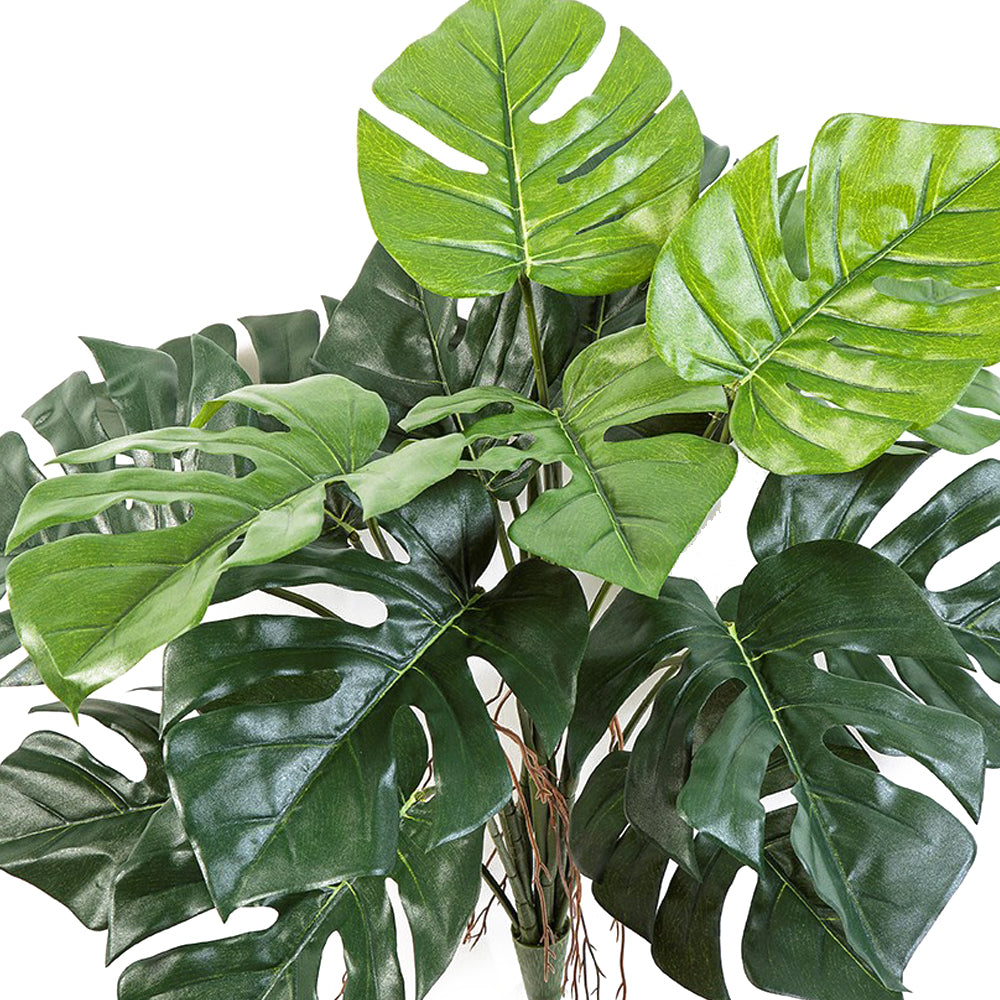 Filodendron műnövény nagy, szeldelt zöld levelekkel közelről, természetes fényű felülettel Filodendron műnövény nagy, szeldelt zöld levelekkel közelről, természetes fényű felülettel