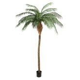 Óriás, 270 cm magas Phoenix Palm mű datolyapálma teljes alakos képe fekete műanyag cserépben