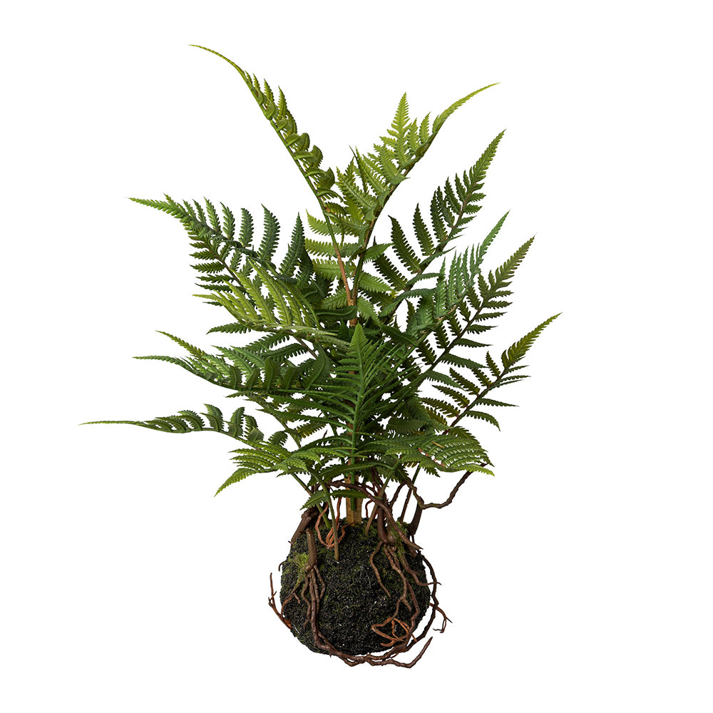 POLYPODIOPSIDA zöld mű páfrány mohalabdában 38 cm