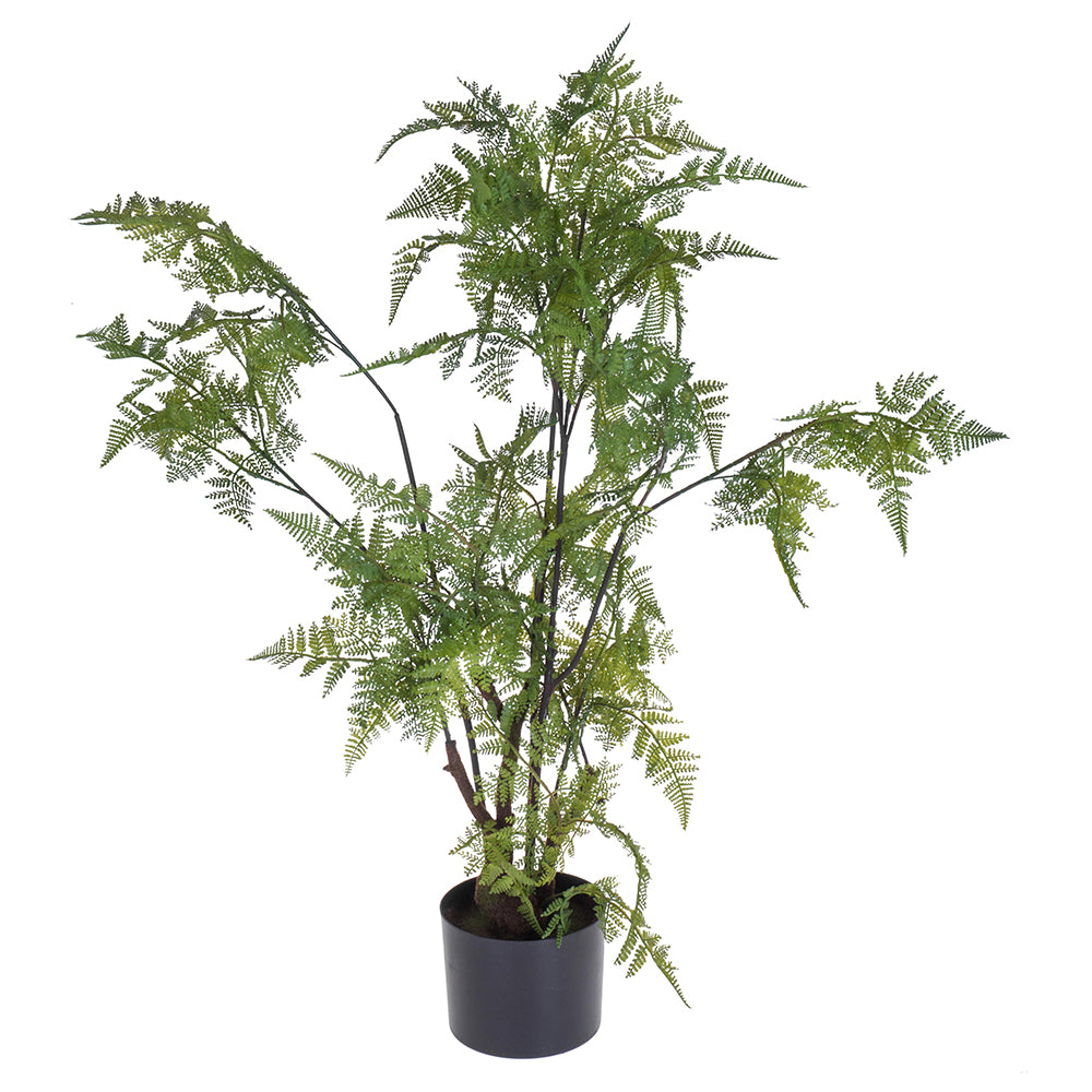 80 cm magas mű pókláb páfrány fekete cserépben, sűrű levelekkel.